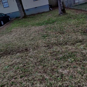 Leaf Removal by New Day Lawns reviewed on September 26, 2025