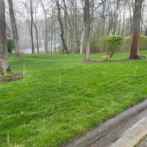 yard work by IMPAKT Lawn Solutions reviewed on August 14, 2025