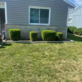 Flower Bed Weeding by ALL-PURPOSE SERVICES LLC reviewed on July 8, 2026