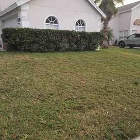 Bush Trimming by The Mowing Company reviewed on November 18, 2025