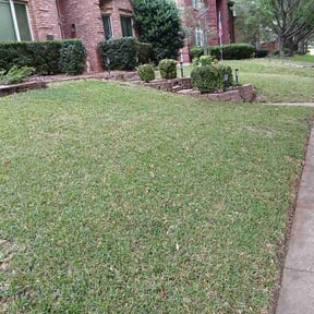 Bush Trimming by Winter Lawn Care reviewed on May 2, 2026