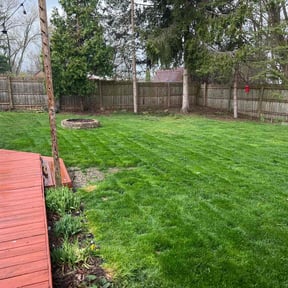 landscaping services by House 2 House Place 2 Place reviewed on November 20, 2025