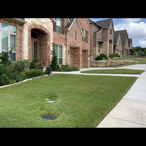 Bush Trimming by Amby's Lawn Service reviewed on August 15, 2025