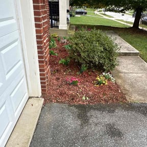 Flower Bed Weeding by Dallas Enterprise LLC Lawn Care Services reviewed on November 9, 2025