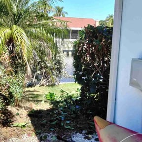 Bush Trimming by Prolawn&homeservices LLC reviewed on August 18, 2025