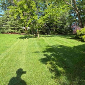 yard work by Luxury lawn care, llc reviewed on August 16, 2025