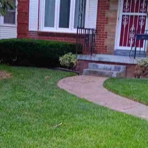 Bush Trimming by Mikes Lawn Service reviewed on November 9, 2017