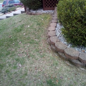 Leaf Removal by Ace LawnCare Service plus reviewed on October 3, 2025