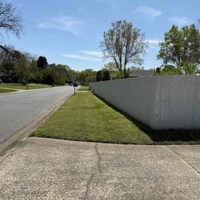 lawn care by Terry and Family Management LLC reviewed on August 21, 2025