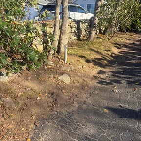 Leaf Removal by Handy Andy home and lawn reviewed on October 21, 2025