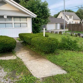 Bush Trimming by MR Lawns LLC reviewed on August 17, 2025