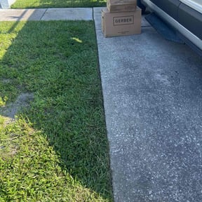 lawn service by Moneytrain lawn service reviewed on April 23, 2024