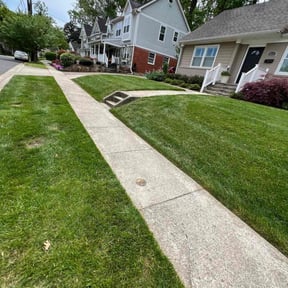 Mulching by Quality Pro. Construction reviewed on June 6, 2020