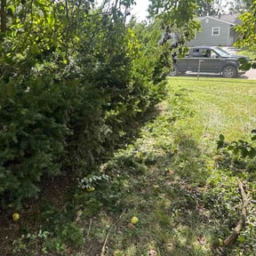 Bush Trimming by Kaecker Mowing Services reviewed on August 3, 2026