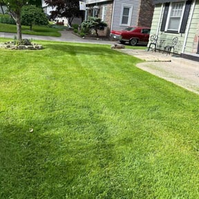 gardening service by BERGEN LAWNS & LANDSCAPING LLC reviewed on August 18, 2025