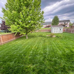 landscaping services by Carpenter And Son's Lawn Service reviewed on November 23, 2025