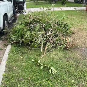 Bush Trimming by A. I. Lawn reviewed on April 3, 2026