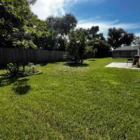 yard maintenance by Fortanel lanscaping reviewed on November 18, 2025