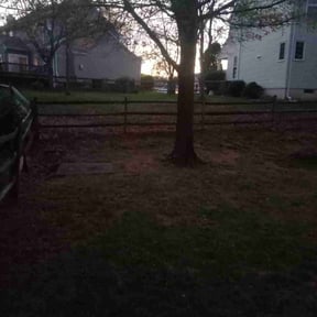 Leaf Removal by Verdoorn Lawn Services reviewed on November 22, 2025