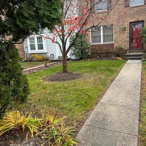 Leaf Removal by Love for Lawns LLC reviewed on November 30, 2025