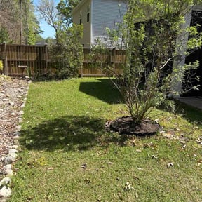 Bush Trimming by Andrew James Property Maintenance reviewed on April 3, 2026