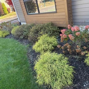 Leaf Removal by Family Claros landscaping services  reviewed on November 10, 2025