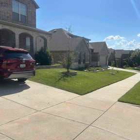 grass maintenance by lawn services reviewed on August 16, 2025