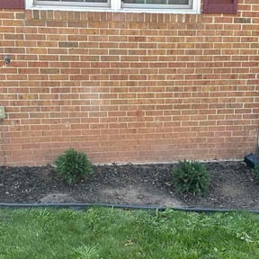 Flower Bed Weeding by Cohen Lawn &amp; Landscaping reviewed on May 30, 2026
