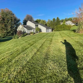 lawn service by Aguilars Lawn Service reviewed on March 20, 2024