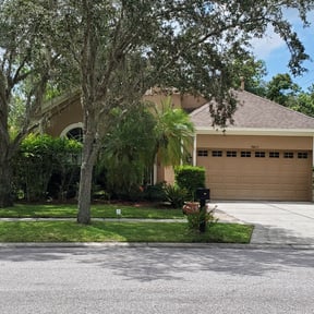 yard work by Emergency Lawn Care reviewed on August 19, 2025