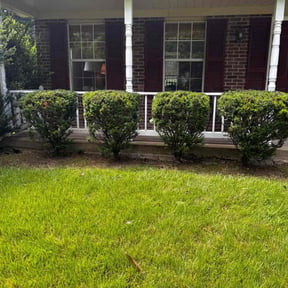Bush Trimming by Greener Grass Group reviewed on July 1, 2026