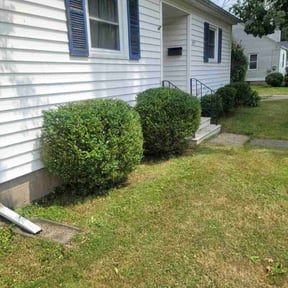 Bush Trimming by Kevreks Lawncare Service’s reviewed on November 24, 2025