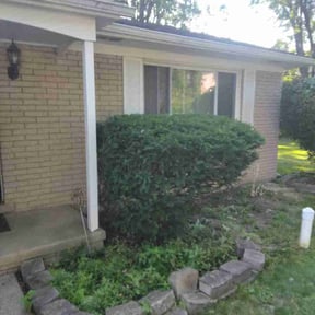 Bush Trimming by Soughtafter gc reviewed on October 22, 2025