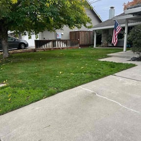 Bush Trimming by Gruver's Custom Solutions LLC reviewed on November 20, 2025