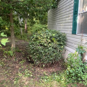 Bush Trimming by A Lawn Service reviewed on August 21, 2025