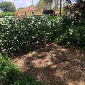 Bush Trimming by  Dj Fresh cuts reviewed on August 21, 2025
