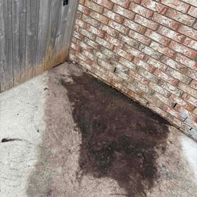 Leaf Removal by Rockmon landscape care reviewed on July 12, 2026