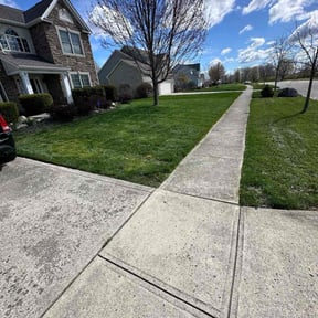 yard maintenance by WBC lawn reviewed on November 19, 2025