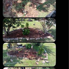 Flower Bed Weeding by TruGreen LawnCare reviewed on June 21, 2026