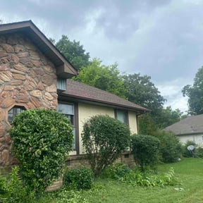 Bush Trimming by O.R Landscaping reviewed on June 24, 2026