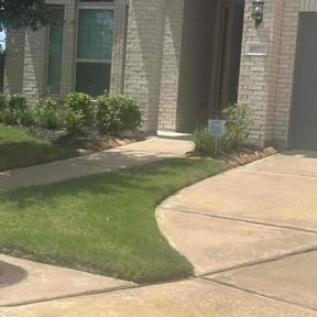 landscaping by Pedrito’s lawn service llc reviewed on August 18, 2025