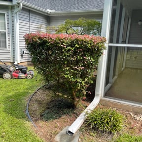 Bush Trimming by TNL LANDSCAPING reviewed on August 19, 2025