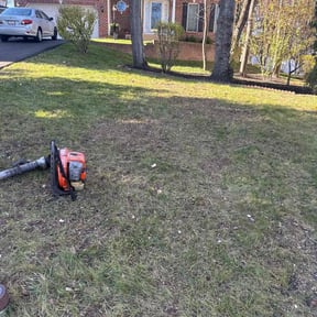 Leaf Removal by The Green Op reviewed on November 18, 2025