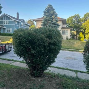 Bush Trimming by Kyleco reviewed on June 2, 2026