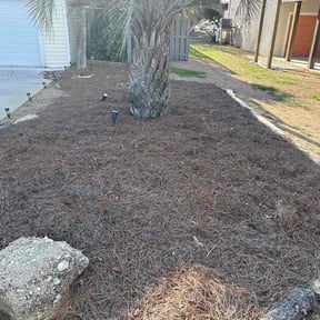 Flower Bed Weeding by 1Stop reviewed on July 5, 2026