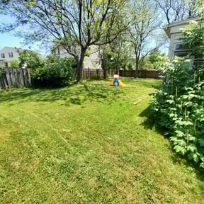 lawn maintenance by Ancient Springs Cleaning Services reviewed on March 29, 2024