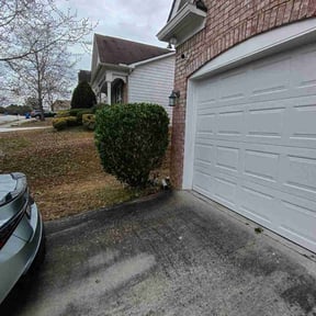 Bush Trimming by Marvel scapes reviewed on February 1, 2026