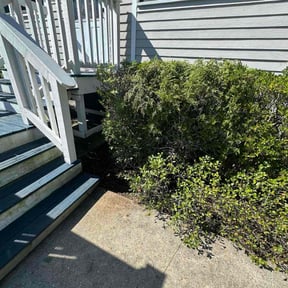 Flower Bed Weeding by Well-cut Lawn Service reviewed on November 24, 2025