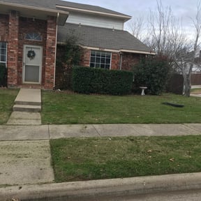 Bush Trimming by ESP Mowtivate Lawn Care  reviewed on August 28, 2024