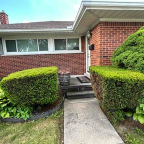 Bush Trimming by Rayne Lawn &amp; Property Maintenance reviewed on June 28, 2026